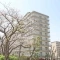【東京都/江東区東砂】東大島ハイライズ 外観