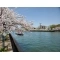 【大阪府/大阪市北区天満橋】OAPレジデンスタワー西館 その他