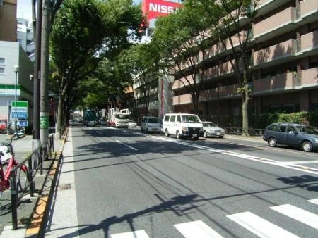 パークアヴェニュー芦花公園 前面道路