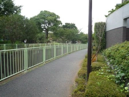 ハウス久我山 前面道路