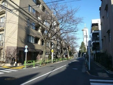 サンフル碑文谷碑さくら通り　ノースサイド 前面道路