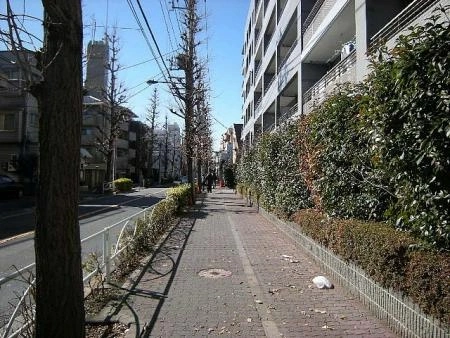 フジトピア目黒祐天寺 前面道路