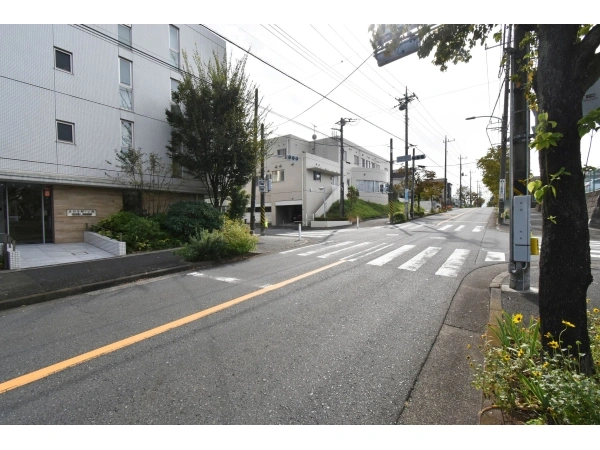 アデニウムたまプラーザ 前面道路