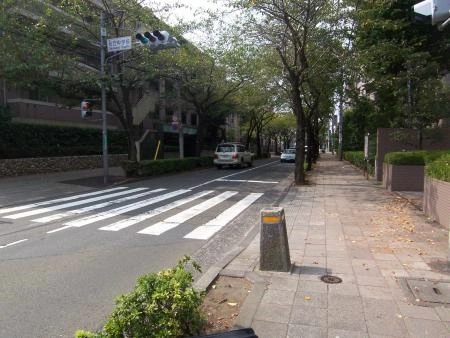 世田谷桜丘シティハウス 前面道路