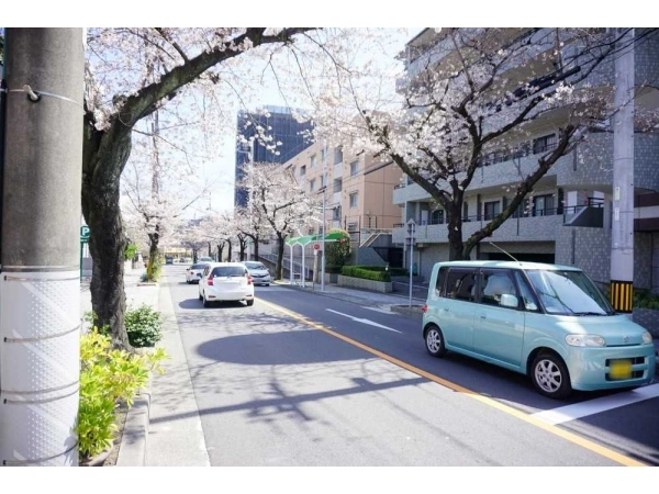 ヴェール瑞穂 前面道路