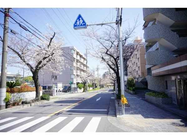 ヴェール瑞穂 前面道路