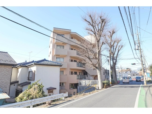 ロイヤルステージ東浦和 前面道路