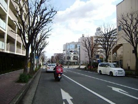 カウンテスコート 前面道路