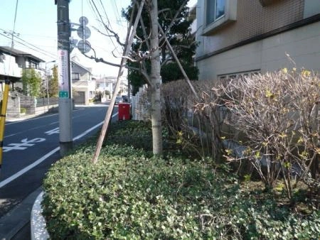 イトーピア豊島園パルテール 前面道路