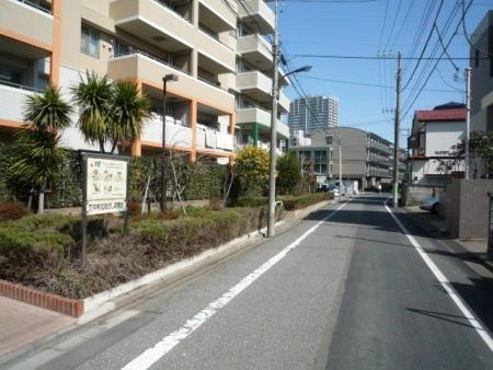 パークハウス中村橋コルニエ 前面道路