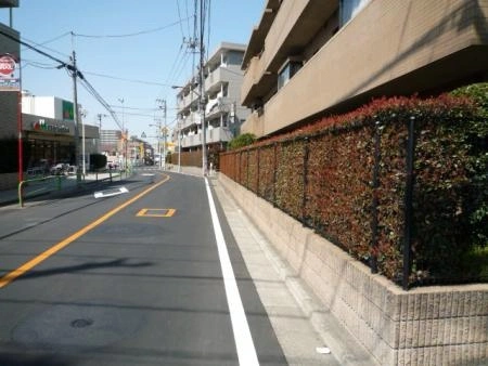 ダイアパレス光が丘弐番館 前面道路