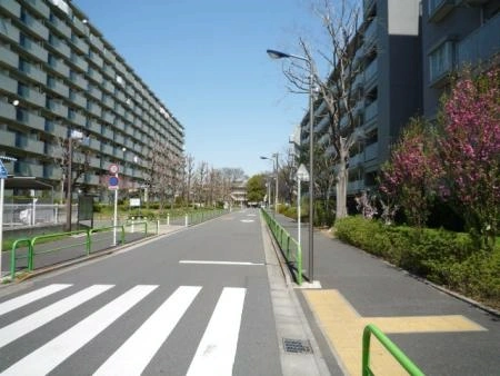 ウェリス光が丘公園パークハウス 前面道路