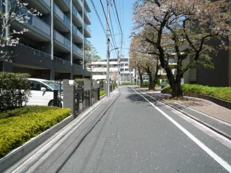 ウェリス光が丘公園パークハウス 前面道路