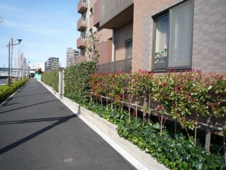 グランブレム練馬高野台 前面道路