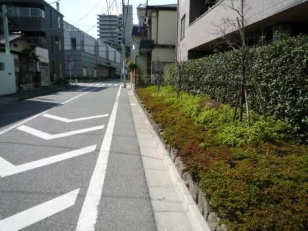 ディアステージ練馬高野台 前面道路