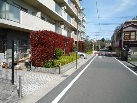 アールヴェール練馬高野台 前面道路