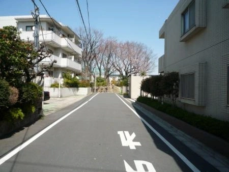 レーベンハイム小竹町フェイヴ 前面道路