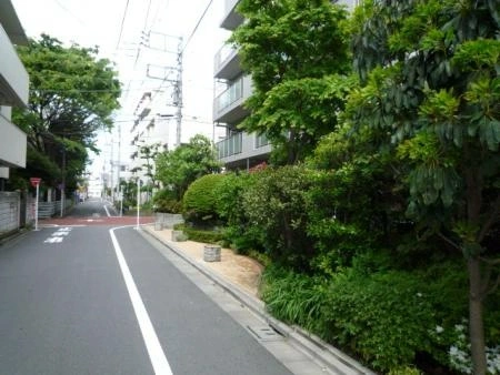 エコヴィレッジ練馬北町 前面道路