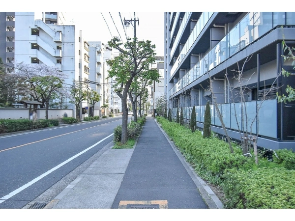 シティハウス高岳 前面道路