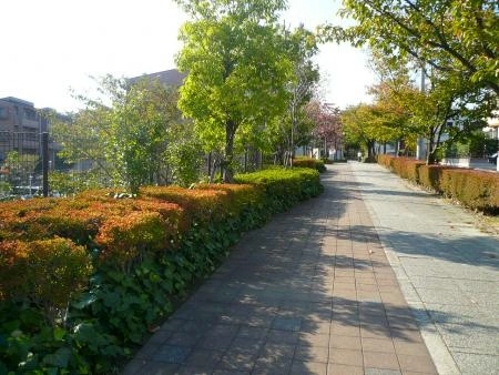 仲町台パークヒルズ 前面歩道