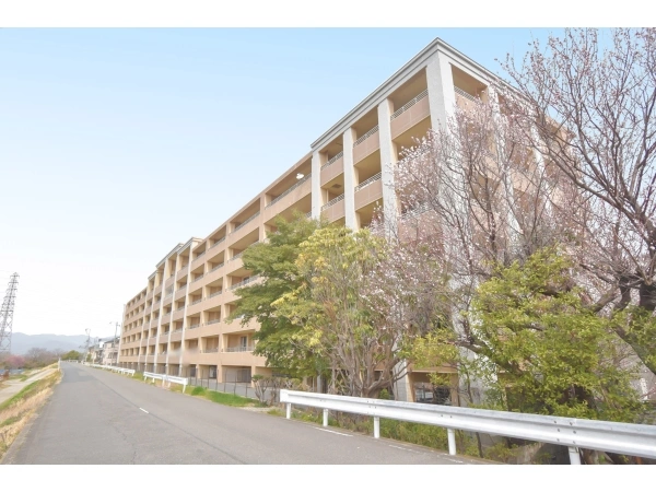 ネバーランド西京極 外観
