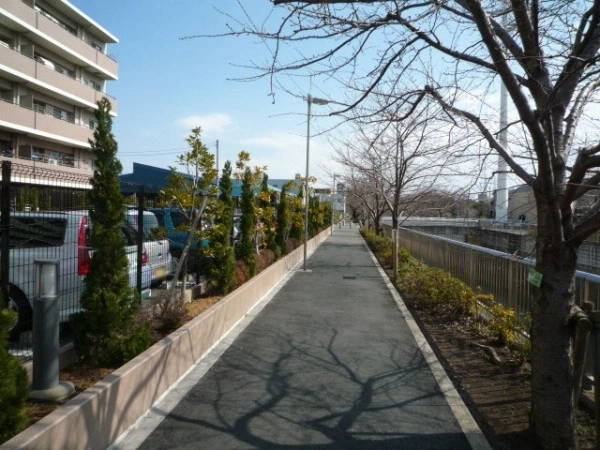 リビオ練馬高野台 前面道路