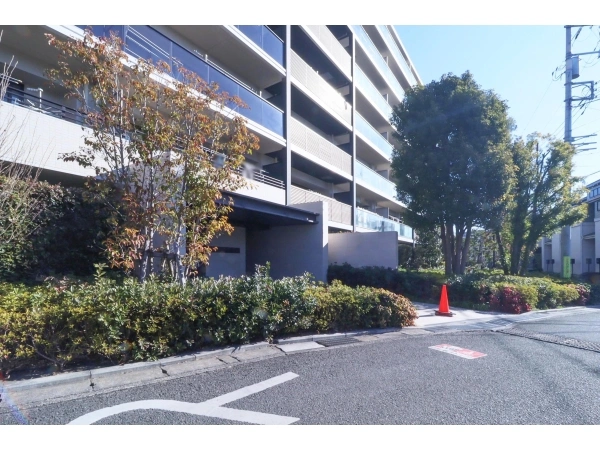 リストレジデンス高津 前面道路