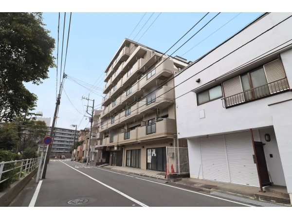 ルイシャトレ西横浜 外観
