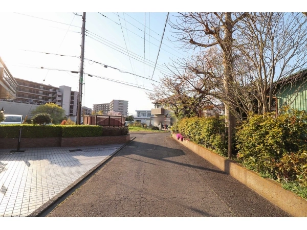 ライオンズマンション茅ヶ崎中央公園 前面道路