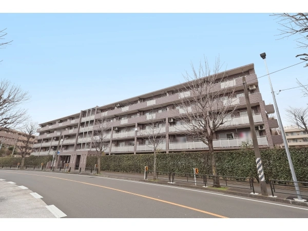 セントエルモ宮前平 前面道路