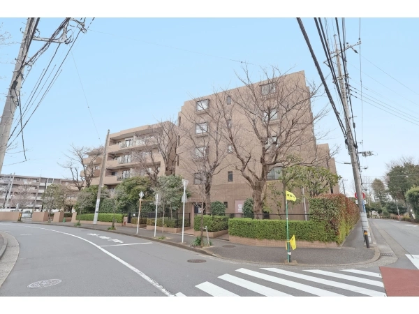 ベルグ グランデ鷺沼 前面道路