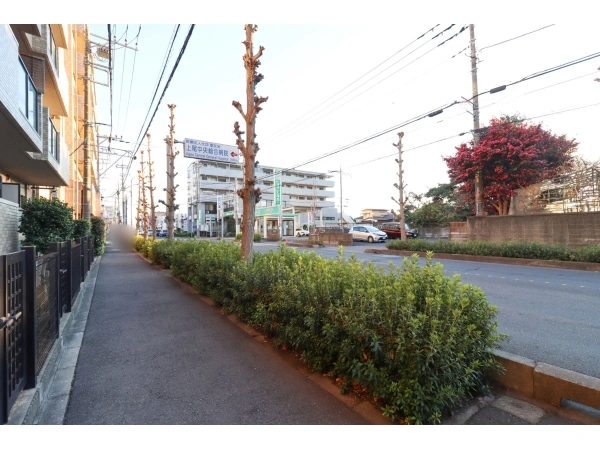 ローヤルシティ上尾 前面道路