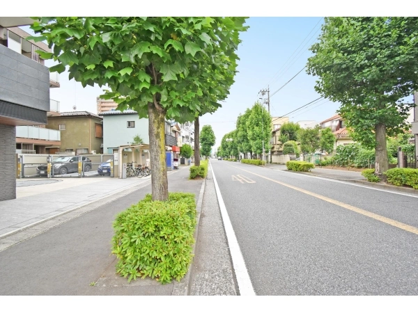 ミオカステーロ宿河原 前面道路