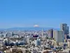 【東京都/港区白金】白金タワー タワー棟 眺望