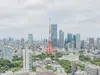 【東京都/港区浜松町】WORLD TOWER RESIDENCE 眺望：バルコニーからの眺望 ※ズームあり