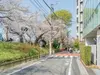 【東京都/千代田区九段北】ブランズ九段北 前面道路