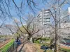 【東京都/千代田区九段北】ブランズ九段北 外堀公園緑道（現地より約10m）