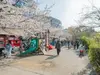 【東京都/千代田区九段北】ブランズ九段北 外堀公園（現地より約200m）