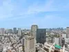 【東京都/港区赤坂】赤坂タワーレジデンス トップ オブ ザ ヒル 眺望