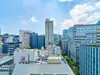【東京都/千代田区二番町】ブリリア二番町 眺望