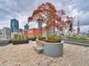 【東京都/港区麻布永坂町】ロイヤルシーズン麻布永坂 共用部：スカイテラス