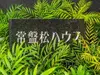 【東京都/港区南青山】常盤松ハウス マンション表札