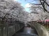 【東京都/目黒区上目黒】ザ・パークハウス諏訪山 目黒川（現地より約400m）