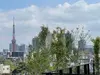 【東京都/港区元麻布】グランドメゾン元麻布 眺望