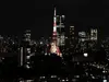 【東京都/港区浜松町】WORLD TOWER RESIDENCE 眺望：ズームあり