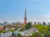 【東京都/港区虎ノ門】ウェリスタワー愛宕虎ノ門 眺望：ズームなし
