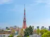 【東京都/港区虎ノ門】ウェリスタワー愛宕虎ノ門 眺望：ズームあり