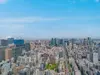 【東京都/港区虎ノ門】虎ノ門ヒルズレジデンス 眺望：ズームなし
