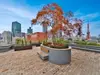 【東京都/港区麻布永坂町】ロイヤルシーズン麻布永坂 屋上庭園からの眺望