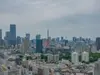 【東京都/港区白金】白金ザ・スカイ E棟 眺望